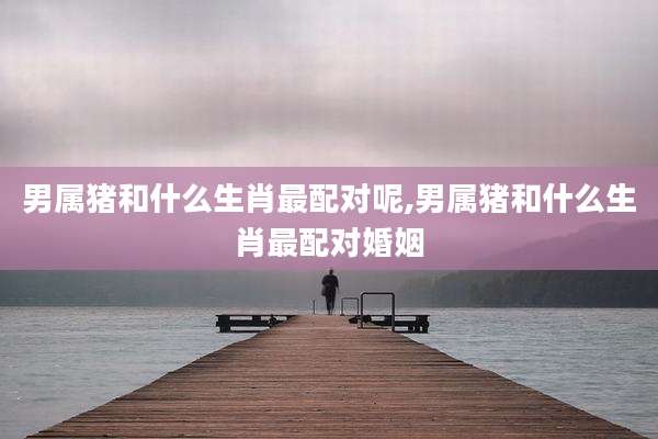 男属猪和什么生肖最配对呢,男属猪和什么生肖最配对婚姻