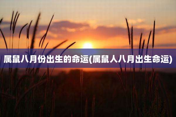 属鼠八月份出生的命运(属鼠人八月出生命运)