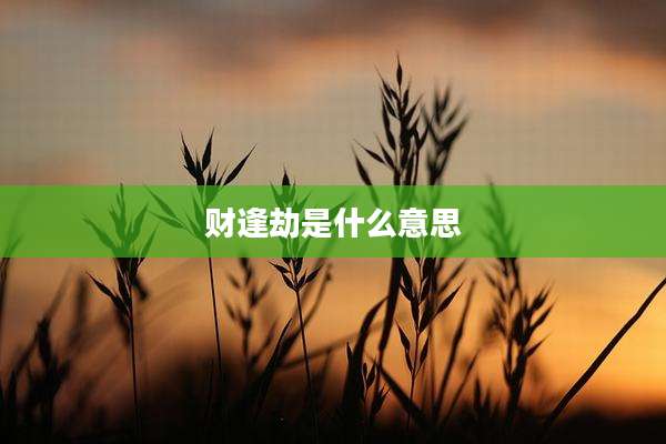 财逢劫是什么意思