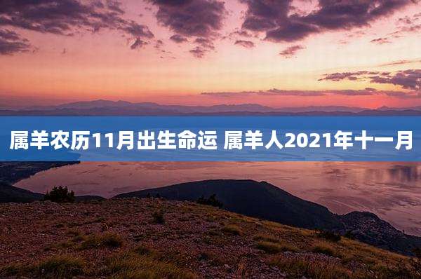 属羊农历11月出生命运 属羊人2021年十一月