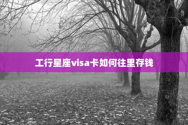 工行星座visa卡如何往里存钱