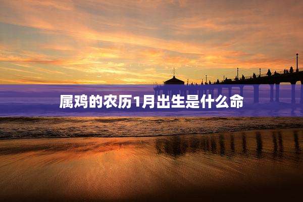 属鸡的农历1月出生是什么命
