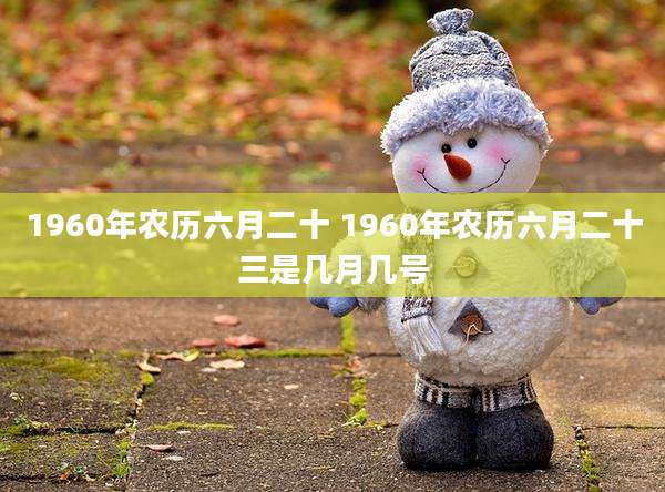 1960年农历六月二十 1960年农历六月二十三是几月几号