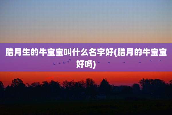 腊月生的牛宝宝叫什么名字好(腊月的牛宝宝好吗)