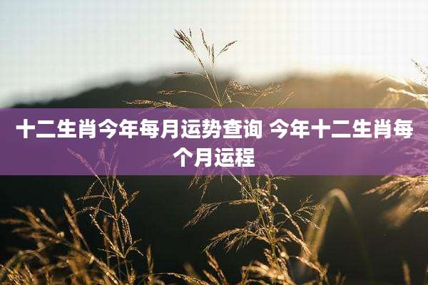 十二生肖今年每月运势查询 今年十二生肖每个月运程