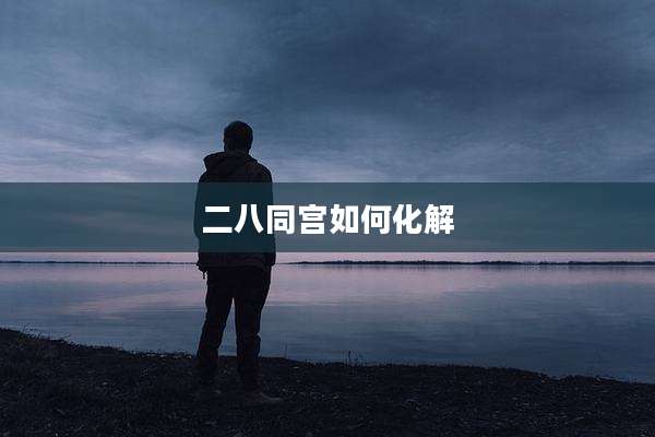 二八同宫如何化解