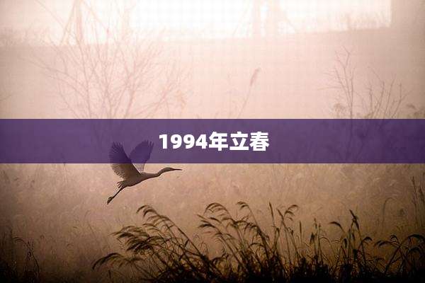 1994年立春