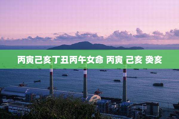 丙寅己亥丁丑丙午女命 丙寅 己亥 癸亥