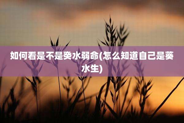 如何看是不是癸水弱命(怎么知道自己是葵水生)