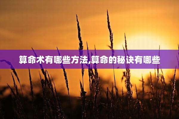 算命术有哪些方法,算命的秘诀有哪些