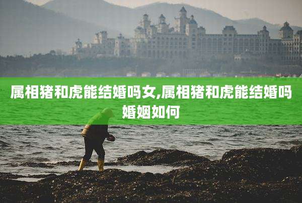 属相猪和虎能结婚吗女,属相猪和虎能结婚吗婚姻如何