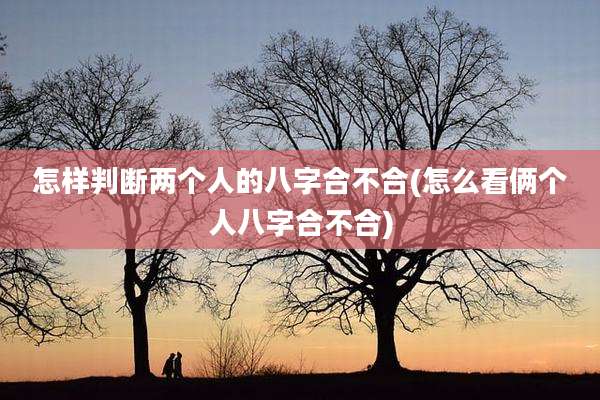 怎样判断两个人的八字合不合(怎么看俩个人八字合不合)
