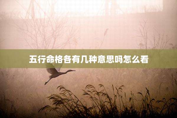五行命格各有几种意思吗怎么看