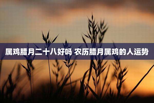 属鸡腊月二十八好吗 农历腊月属鸡的人运势