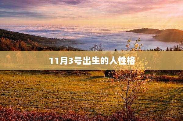 11月3号出生的人性格