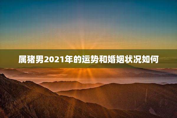 属猪男2021年的运势和婚姻状况如何
