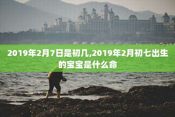 2019年2月7日是初几,2019年2月初七出生的宝宝是什么命