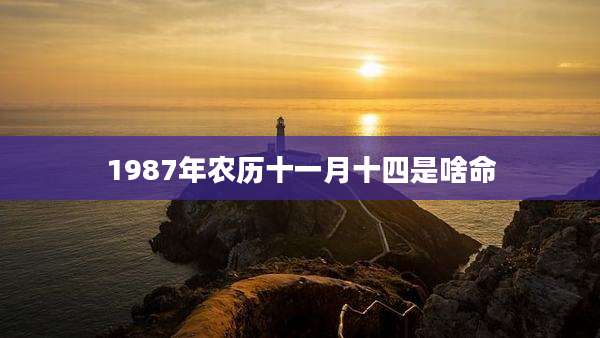1987年农历十一月十四是啥命