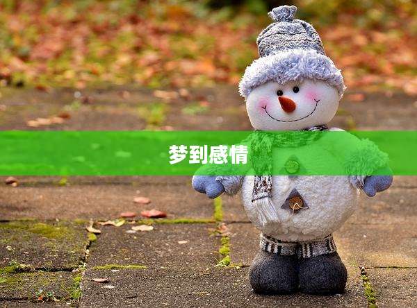 梦到感情