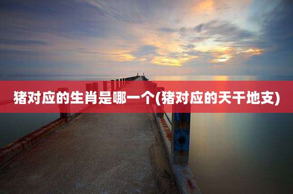 猪对应的生肖是哪一个(猪对应的天干地支)