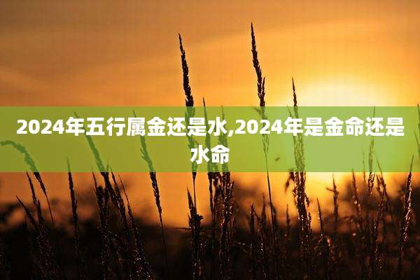 2024年五行属金还是水,2024年是金命还是水命