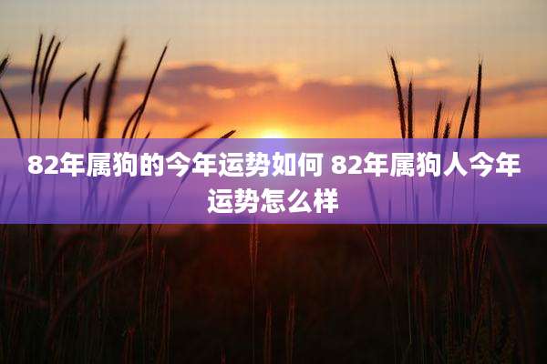 82年属狗的今年运势如何 82年属狗人今年运势怎么样