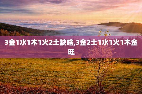 3金1水1木1火2土缺啥,3金2土1水1火1木金旺