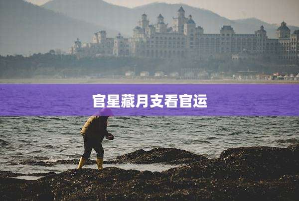官星藏月支看官运