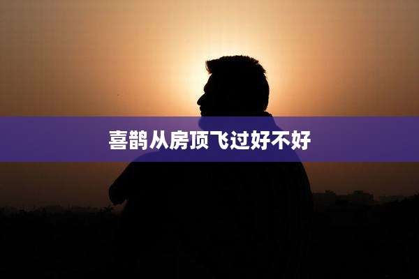 喜鹊从房顶飞过好不好