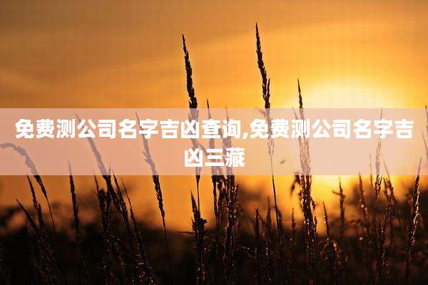 免费测公司名字吉凶查询,免费测公司名字吉凶三藏