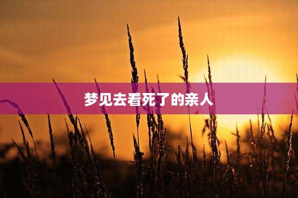 梦见去看死了的亲人