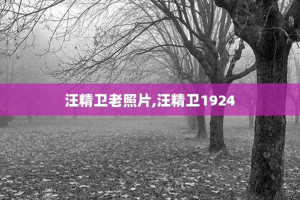 汪精卫老照片,汪精卫1924