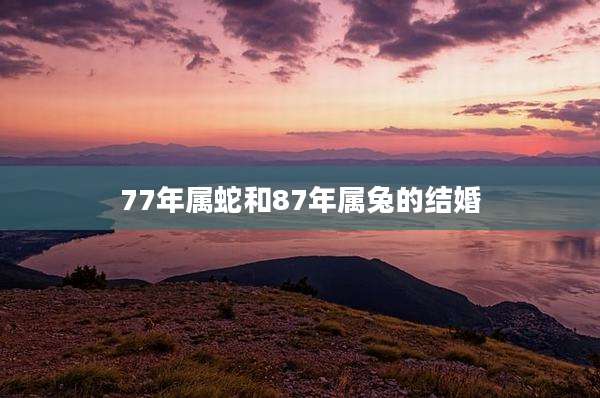 77年属蛇和87年属兔的结婚