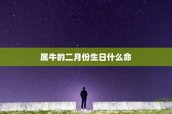 属牛的二月份生日什么命