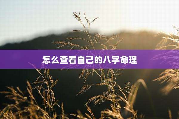 怎么查看自己的八字命理