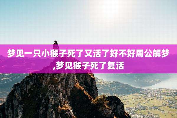梦见一只小猴子死了又活了好不好周公解梦,梦见猴子死了复活