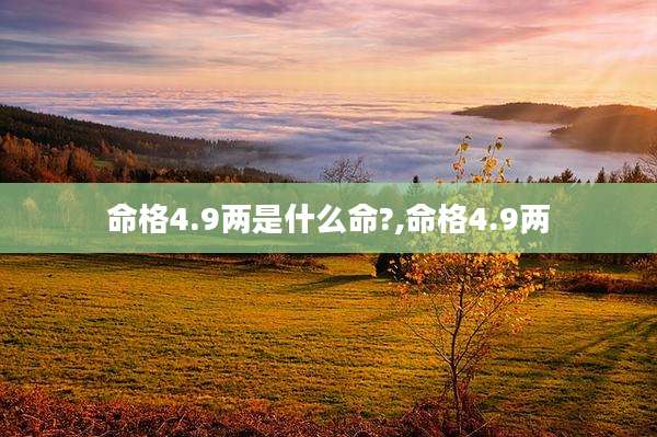命格4.9两是什么命?,命格4.9两