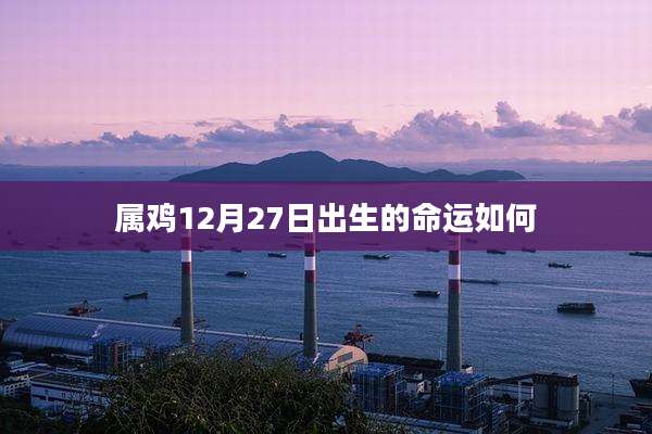 属鸡12月27日出生的命运如何