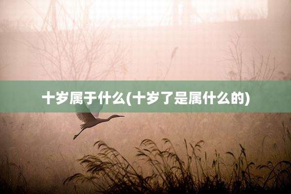 十岁属于什么(十岁了是属什么的)