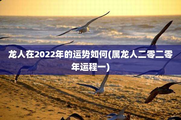 龙人在2022年的运势如何(属龙人二零二零年运程一)