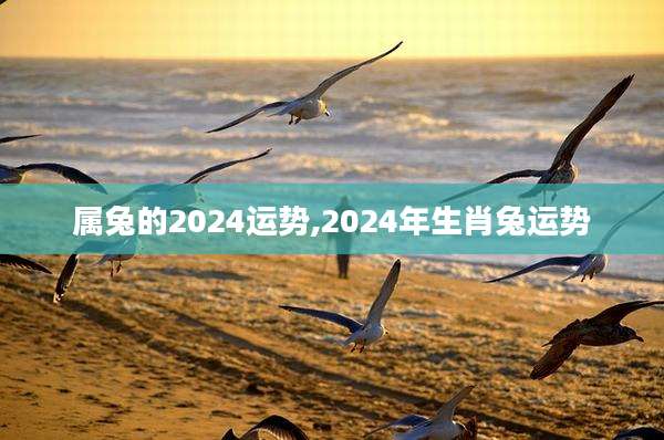 属兔的2024运势,2024年生肖兔运势