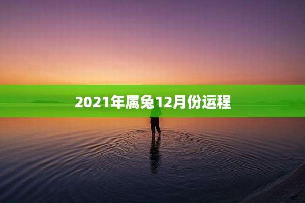 2021年属兔12月份运程