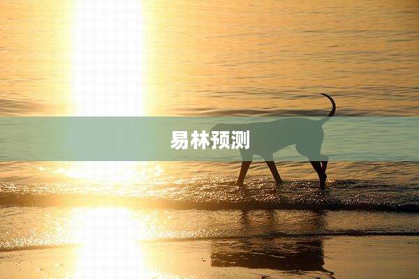 易林预测