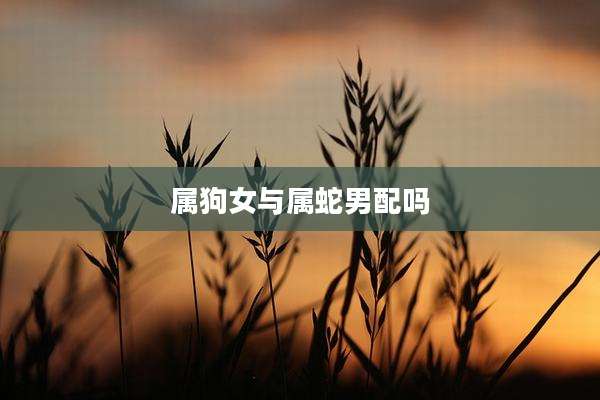 属狗女与属蛇男配吗