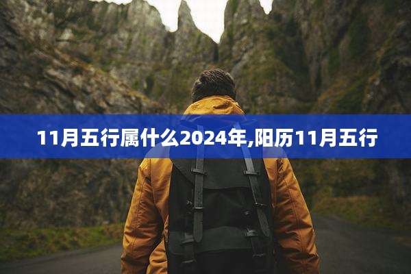 11月五行属什么2024年,阳历11月五行