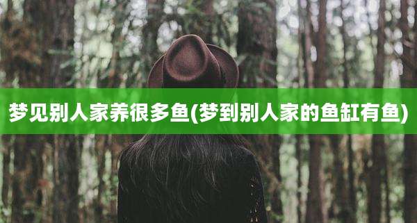 梦见别人家养很多鱼(梦到别人家的鱼缸有鱼)