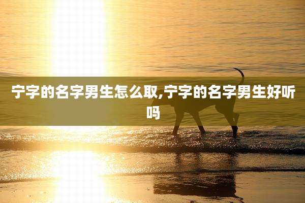 宁字的名字男生怎么取,宁字的名字男生好听吗