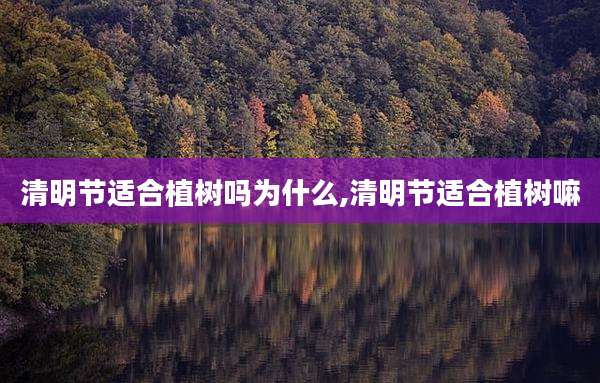 清明节适合植树吗为什么,清明节适合植树嘛