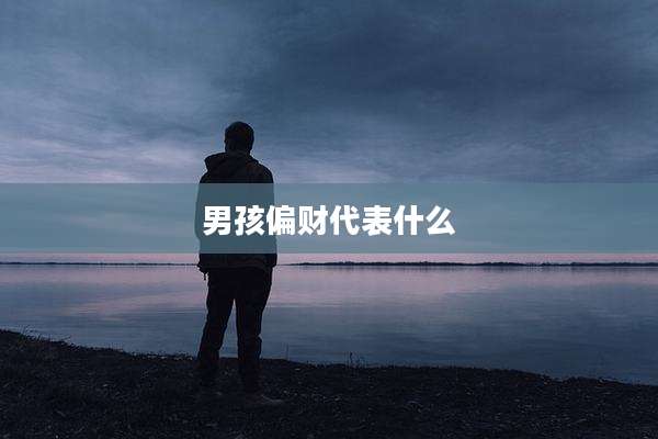 男孩偏财代表什么
