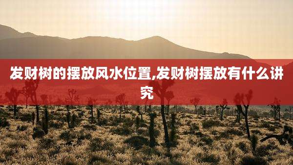 发财树的摆放风水位置,发财树摆放有什么讲究